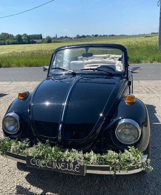Bloemen voor ceremonie of feest